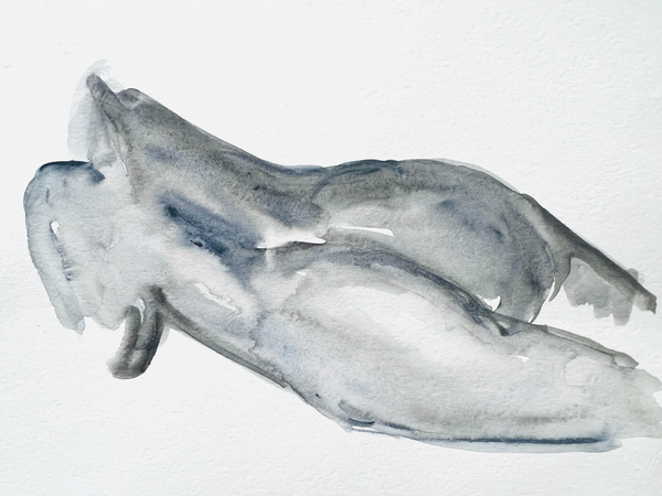 Original Watercolour Painting by Caroline Walls