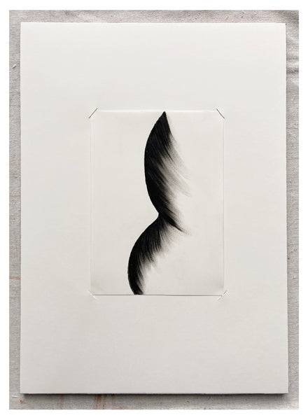 Original Charcoal Drawing by Caroline Walls