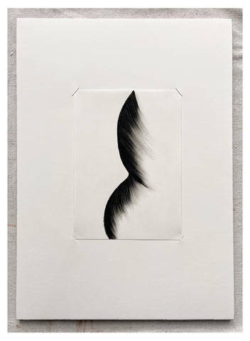 Original Charcoal Drawing by Caroline Walls