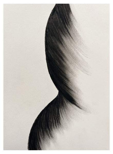 Original Charcoal Drawing by Caroline Walls