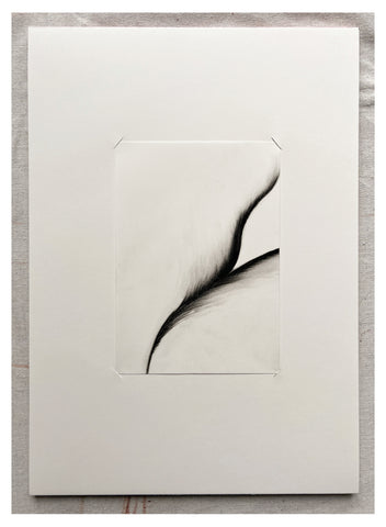 Original Charcoal Drawing by Caroline Walls