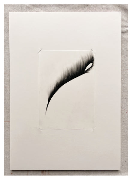 Original Charcoal Drawing by Caroline Walls