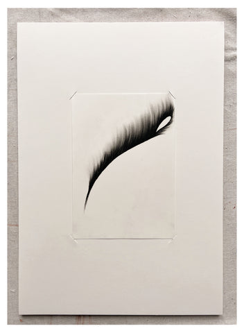 Original Charcoal Drawing by Caroline Walls