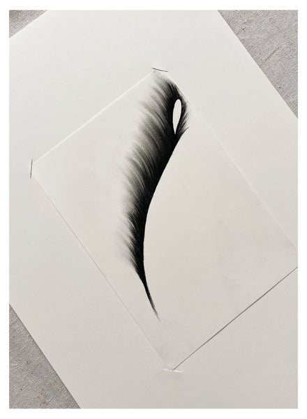 Original Charcoal Drawing by Caroline Walls