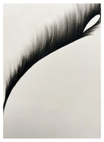 Original Charcoal Drawing by Caroline Walls