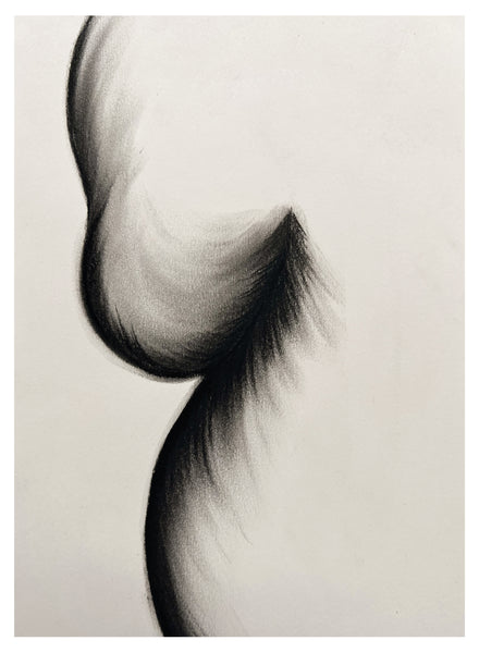 Original Charcoal Drawing by Caroline Walls
