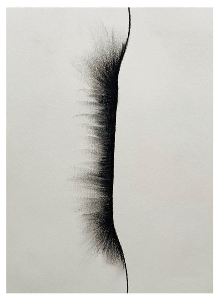 Original Charcoal Drawing by Caroline Walls