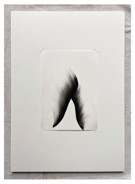 Original Charcoal Drawing by Caroline Walls