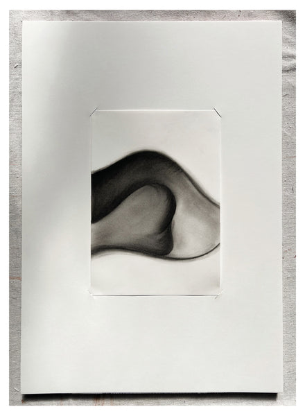 Original Charcoal Drawing by Caroline Walls
