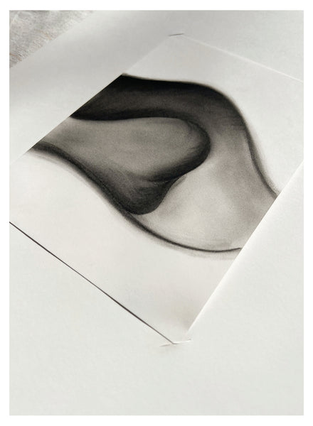 Original Charcoal Drawing by Caroline Walls