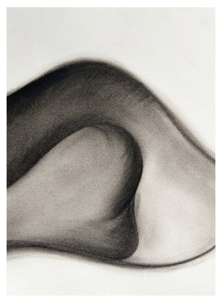 Original Charcoal Drawing by Caroline Walls