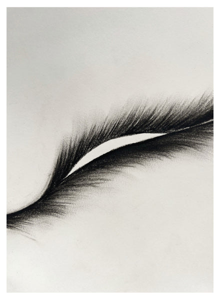Original Charcoal Drawing by Caroline Walls