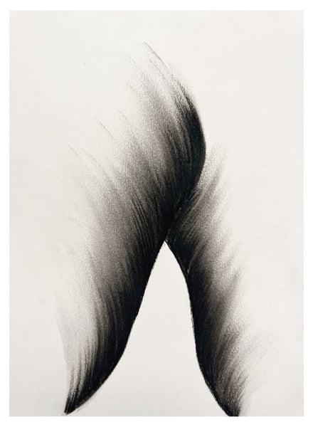Original Charcoal Drawing by Caroline Walls
