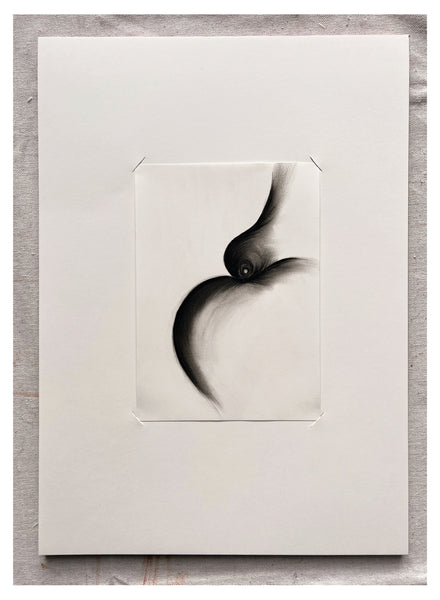 Original Charcoal Drawing by Caroline Walls