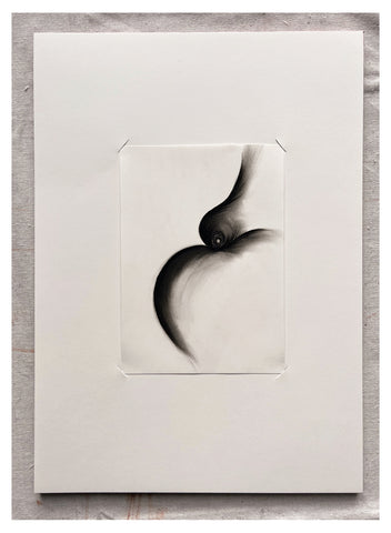 Original Charcoal Drawing by Caroline Walls