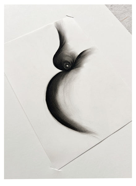 Original Charcoal Drawing by Caroline Walls