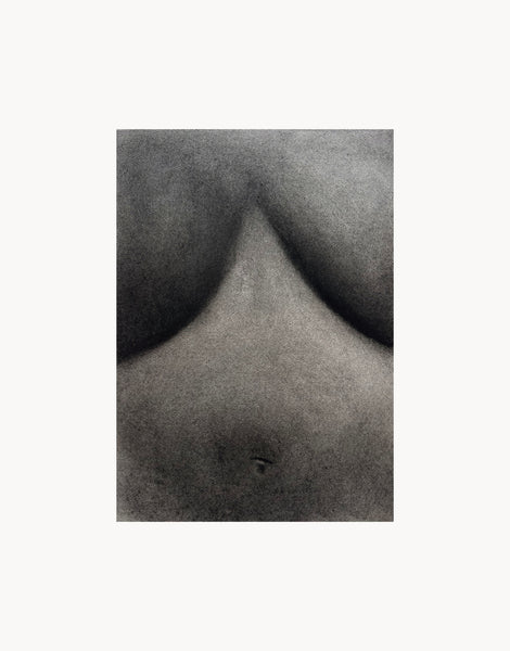 SILENT ORCHESTRA - CHARCOAL ON PAPER