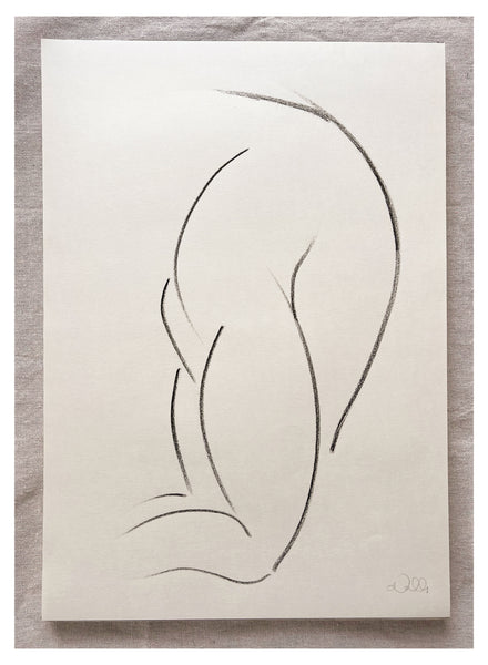 Original Charcoal Drawing by Caroline Walls